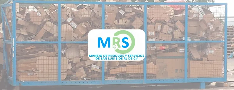 Cartón reciclado en la planta de MRS