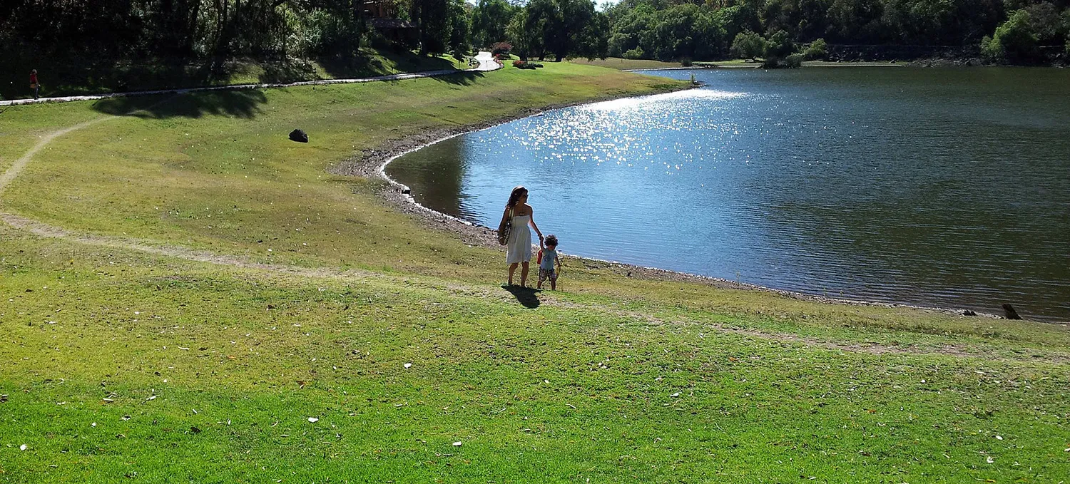 MRS, reciclaje y manejo de residuos en San Luis Potosí